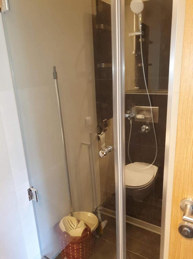 Vila Irina - Apartman Milos โคเปานิก ภายนอก รูปภาพ