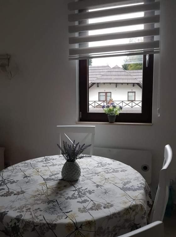 Vila Irina - Apartman Milos โคเปานิก ภายนอก รูปภาพ