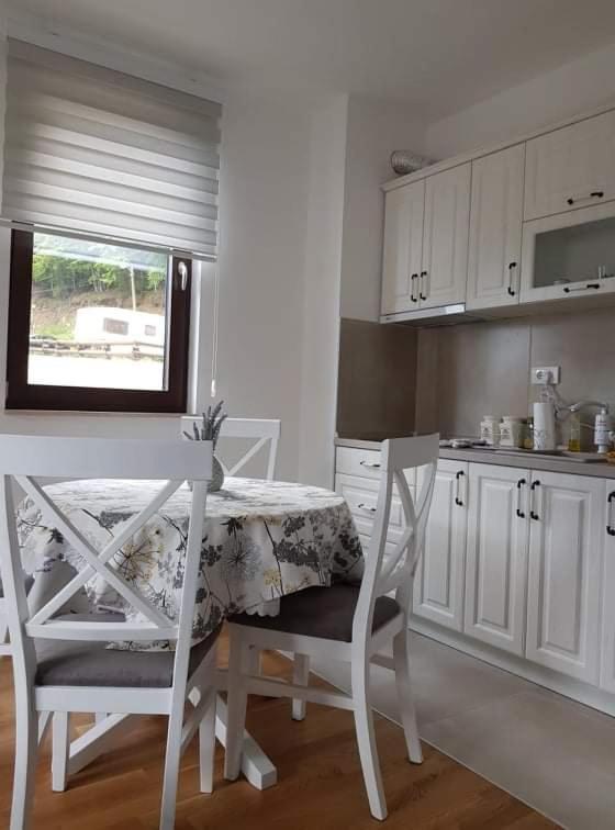 Vila Irina - Apartman Milos โคเปานิก ภายนอก รูปภาพ