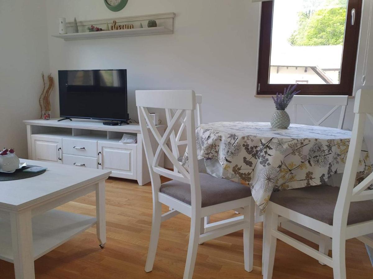 Vila Irina - Apartman Milos โคเปานิก ภายนอก รูปภาพ